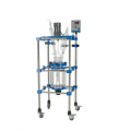 1L,2L,3L,5L,10L,20L,30L,50L,80L,100L,150L,200L Chemical Glass Reactors/ Jacketed Double Lined Glass Reactors price